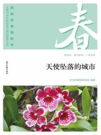 “我的青春我的梦”（春）天使坠落的城市