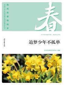“我的青春我的梦”（春）追梦少年不孤单