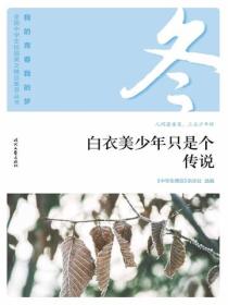 “我的青春我的梦”（冬）白衣美少年只是个传说