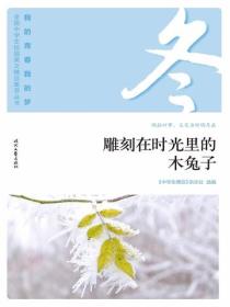 “我的青春我的梦”（冬）雕刻在时光里的木兔子