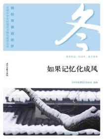 “我的青春我的梦”（冬）如果记忆化成风