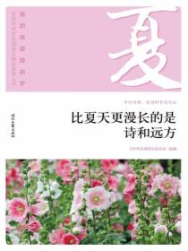 “我的青春我的梦”（夏）比夏天更漫长的是诗和远方