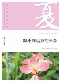 “我的青春我的梦”（夏）飘不到远方的云朵