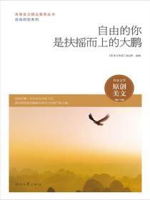 自由的你是扶摇而上的大鹏