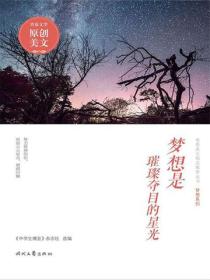 梦想是璀璨夺目的星光