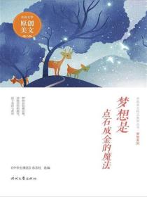 梦想是点石成金的魔法