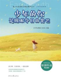 少年的你是耀眼夺目的光芒