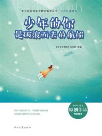 少年的你是破浪而去的航船