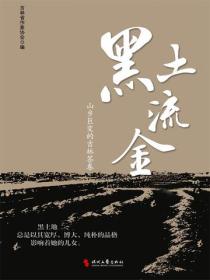 黑土流金 : 山乡巨变的吉林答卷