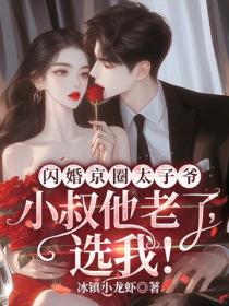 闪婚京圈太子爷：小叔他老了，选我！