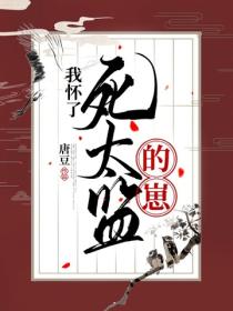 我怀了死太监的崽