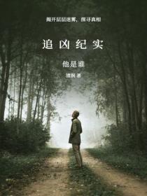 追凶紀實