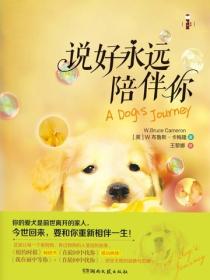 说好永远陪伴你