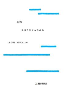 2022 中国青年诗人作品选