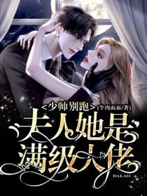 少帅别跑：夫人她是满级大佬