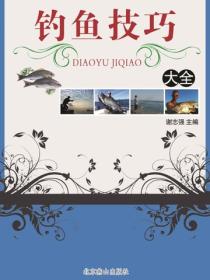 钓鱼技巧大全