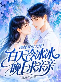 改嫁双面大佬！白天冷冰冰晚上求亲亲