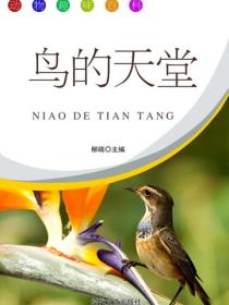 鸟的天堂