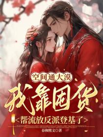 空间通大漠，我靠囤货帮流放反派登基了