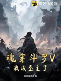 魂穿斗罗V，我成圣主了