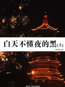 白天不懂夜的黑（上）