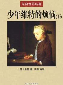 少年维特的烦恼（下）