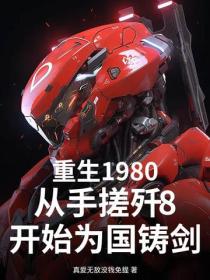 重生1980，從手搓殲8開始為國鑄劍