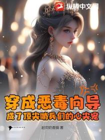 穿成恶毒向导，成了顶尖哨兵们的心尖宠