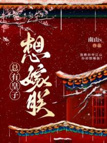 总有皇子想嫁朕