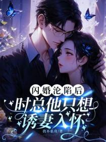 闪婚沦陷后，时总他只想诱妻入怀