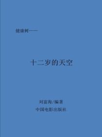 十二岁的天空