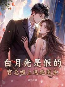 白月光是假的：宫总缠上逃跑医生