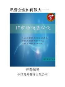 IT市场销售秘诀