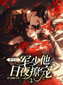 重生后，军少他日夜撩宠