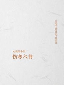 伤寒六书