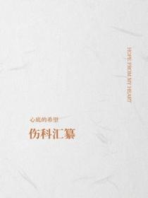 伤科汇纂
