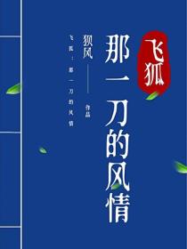 飞狐：那一刀的风情