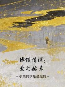 缘锁情深：爱之始末