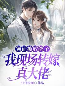 领证被放鸽子，我现场转嫁真大佬