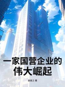 一家国营企业的伟大崛起