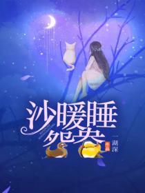 沙暖睡鴛鴦