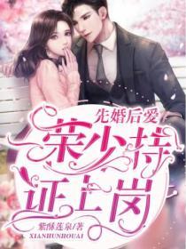 先婚后爱，荣少持证上岗