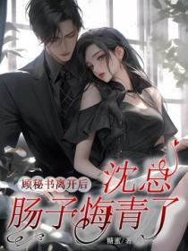 灰衣簡史