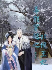 異能穿越之北境王妃