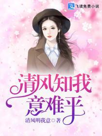 清風知我意難平