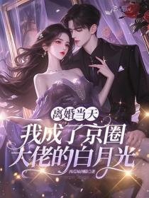 離婚當天，我成了京圈大佬的白月光