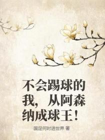 不会踢球的我，从阿森纳成球王！