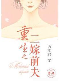 重生之二嫁前夫