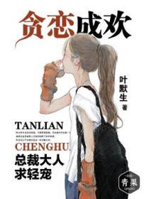 贪恋成欢：总裁大人求轻宠