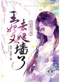 启禀王爷：王妃又去爬墙了